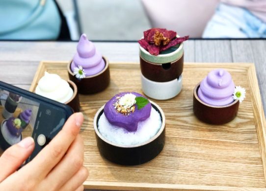 Cafe Bora - Purple Cafe in South Korea
