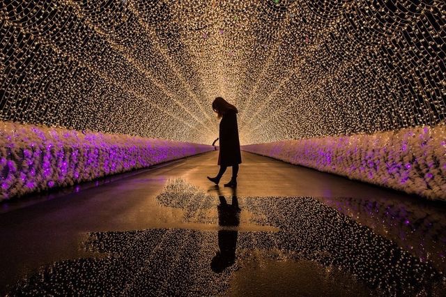 The Beautiness of Kawachi Fuji Garden
