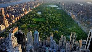 There Is So Much Fun In New York !