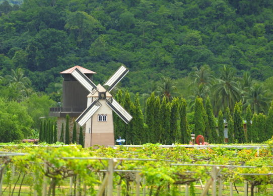 Silverlake: Tourist Attractions in Pattaya for Fatigue Relievers